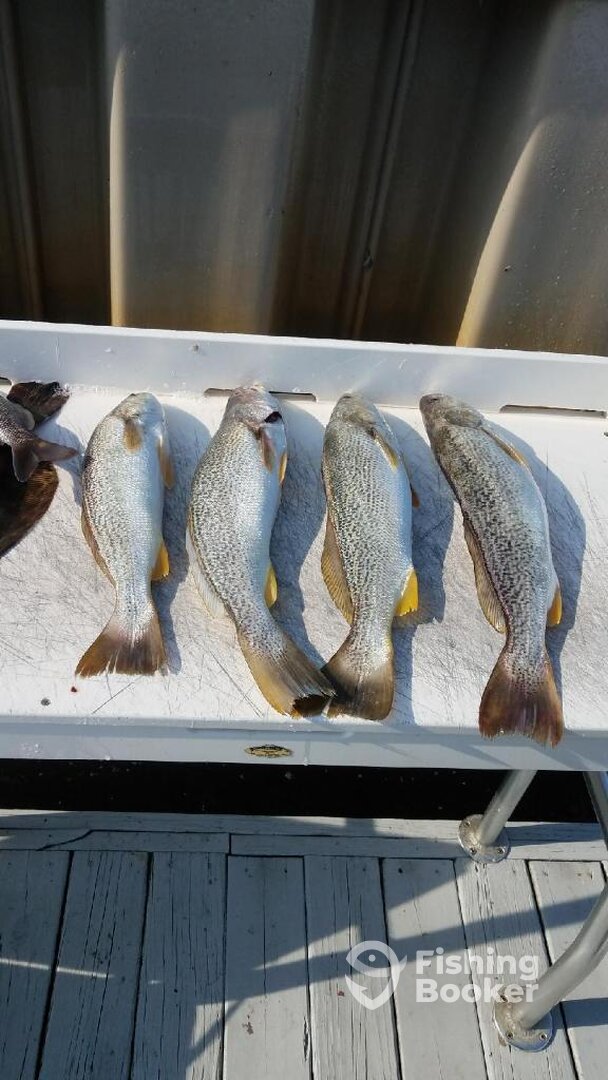Carolina Beach Report Photo 0