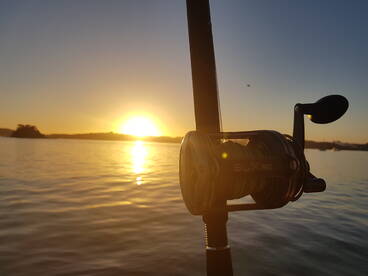 Paihia Report Photo 1