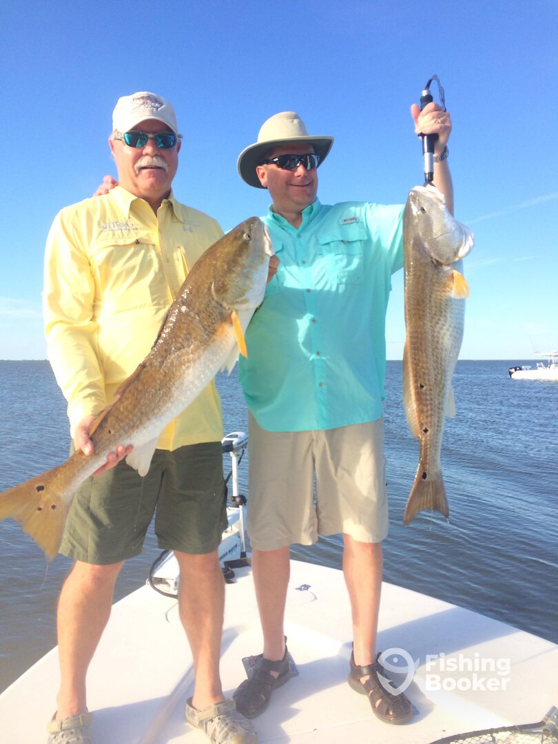 Venice Report Photo 0