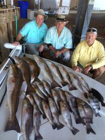 Venice Report Photo 2