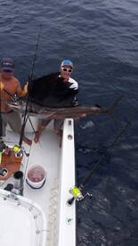 Mahi-mahi buting again