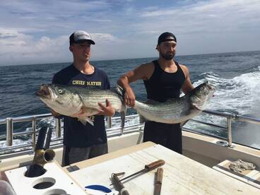 Montauk Report Photo 1