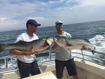 Montauk Report Photo 2