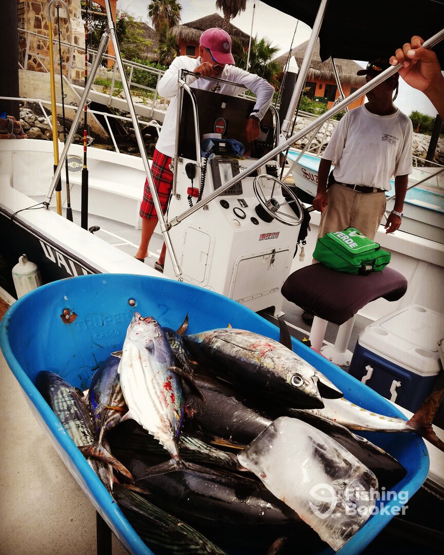 San Jose del Cabo Report Photo 0