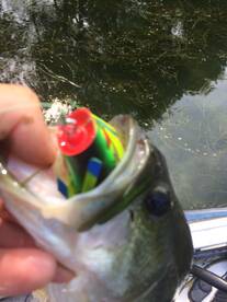 Good saturday morning 