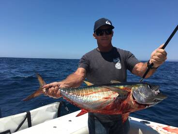 Dana Point Report Photo 2
