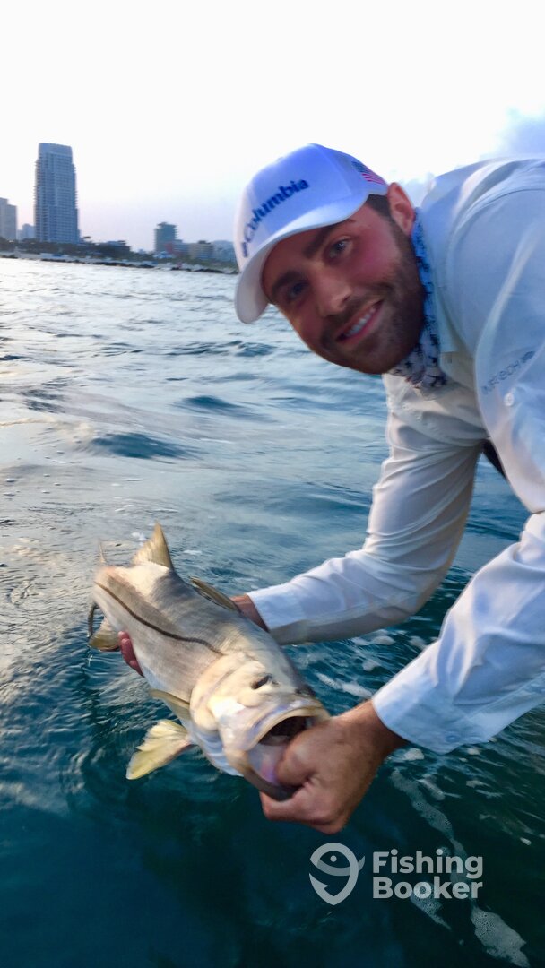 Miami Report Photo 0