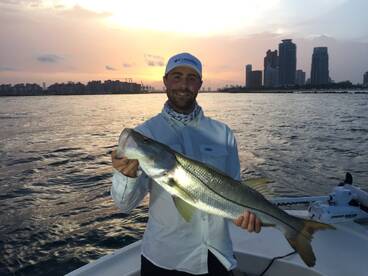 Miami Report Photo 2