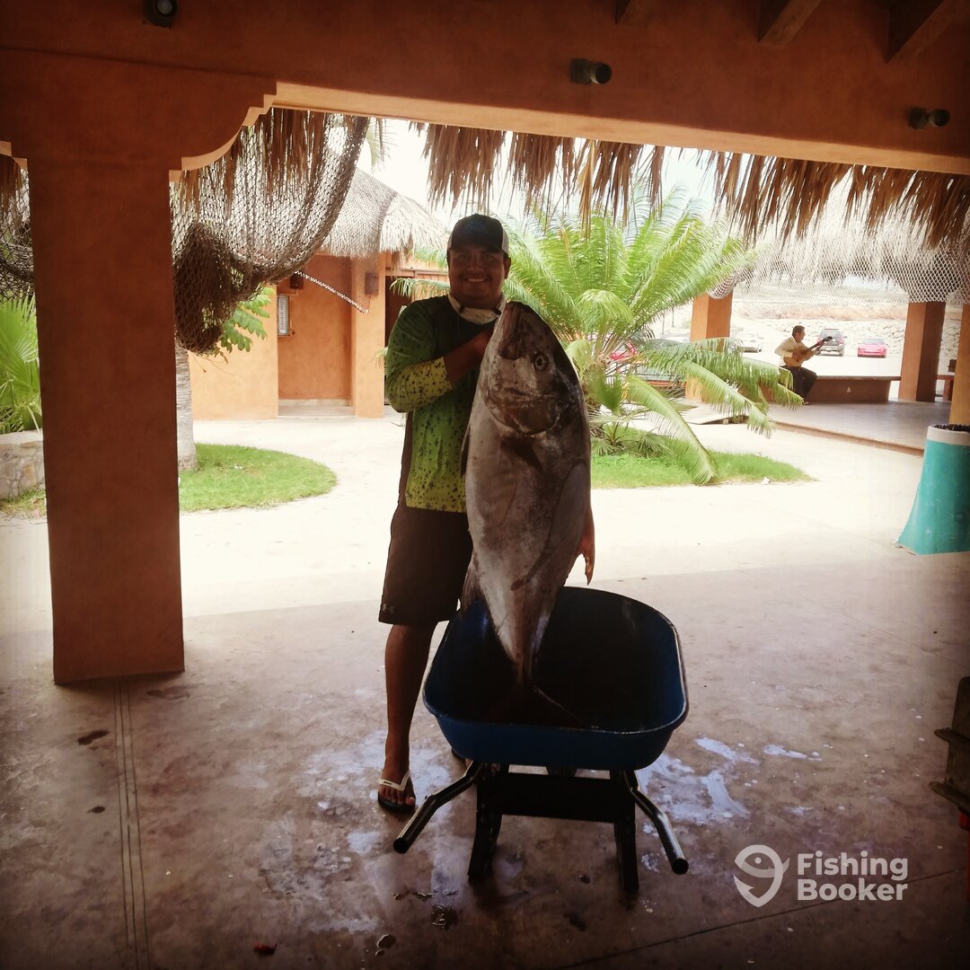 San Jose del Cabo Report Photo 0