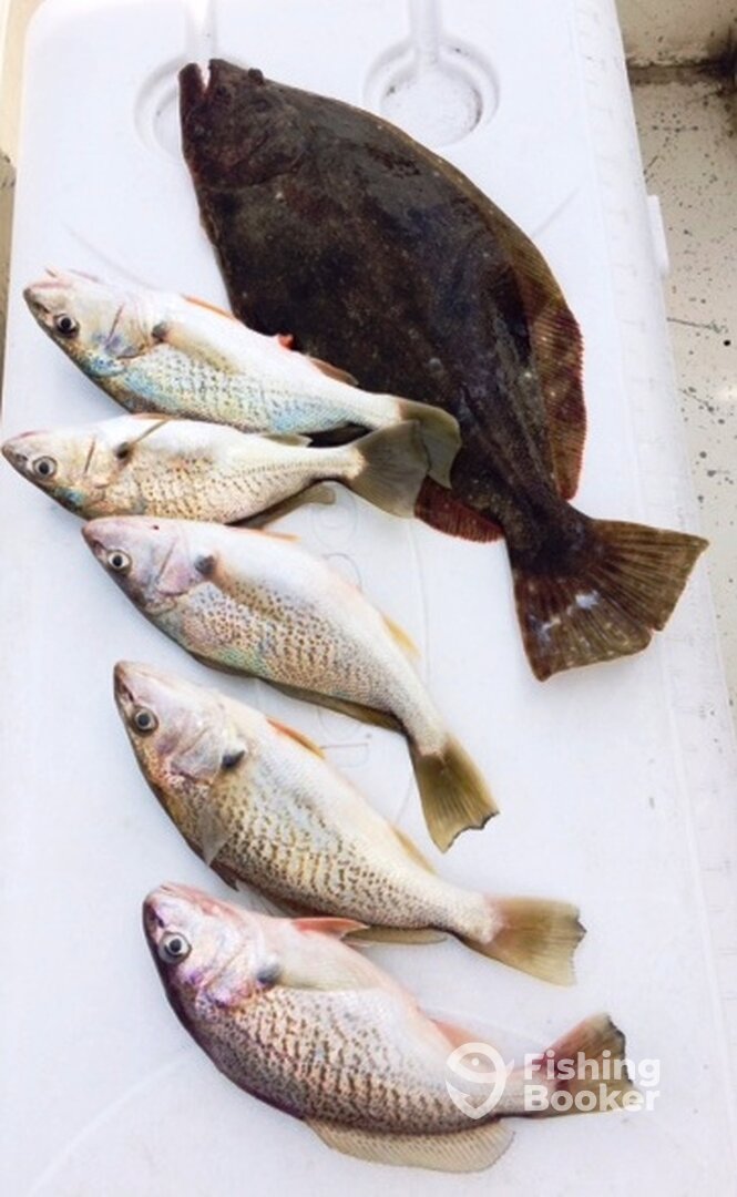 Brigantine Report Photo 0