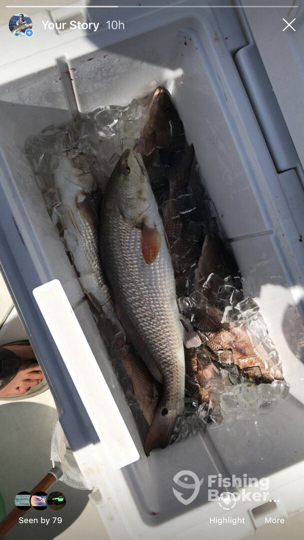 Bradenton Report Photo 0