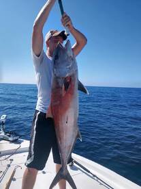 Amberjack & Trigger Fish Report