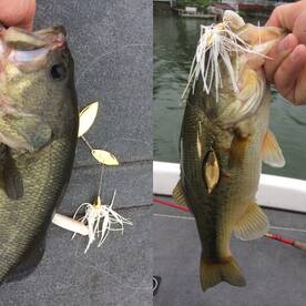 Good morning on the water. 