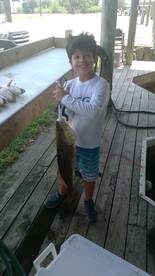 St. Bernard Report Photo 1