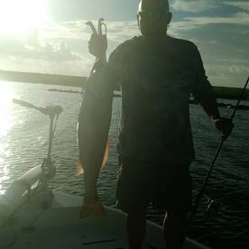 St. Bernard Report Photo 2