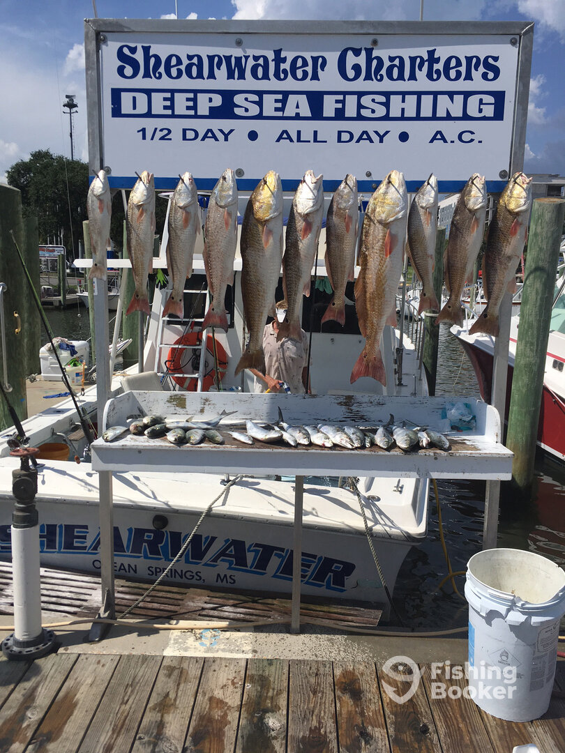 Biloxi Report Photo 0