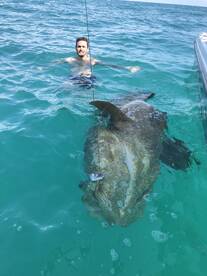 Sarasota Report Photo 2