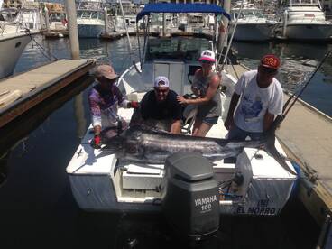 Great blue marlin 