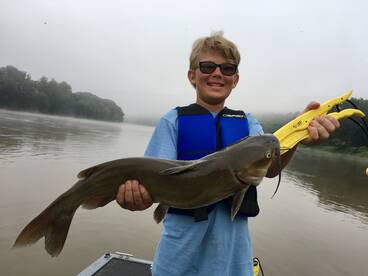 Big Catfish