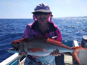 Cuvu Report Photo 1