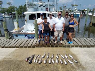 Wanchese Report Photo 2