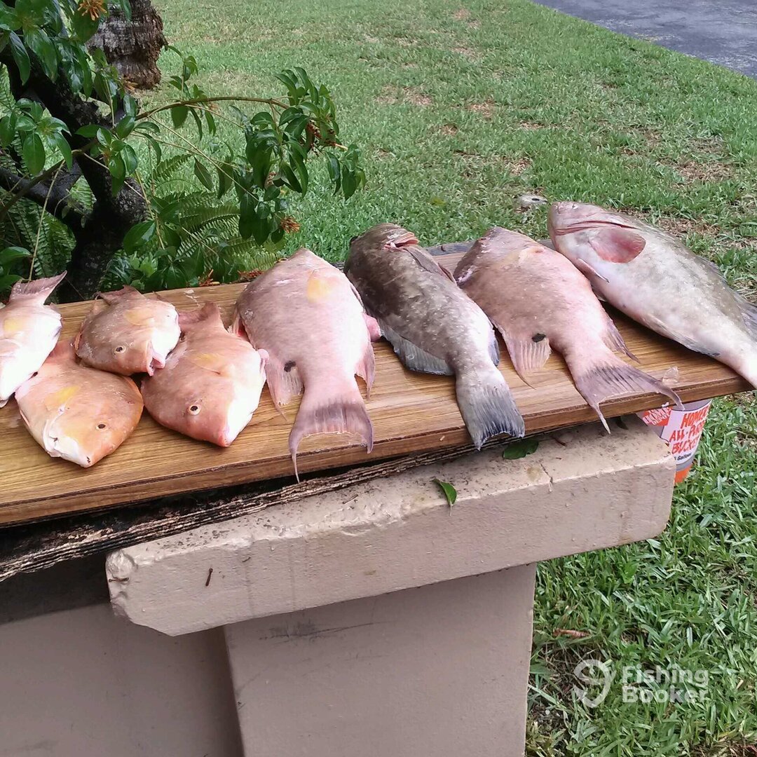 Key Biscayne Report Photo 0