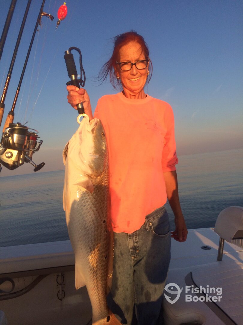 Venice Report Photo 0