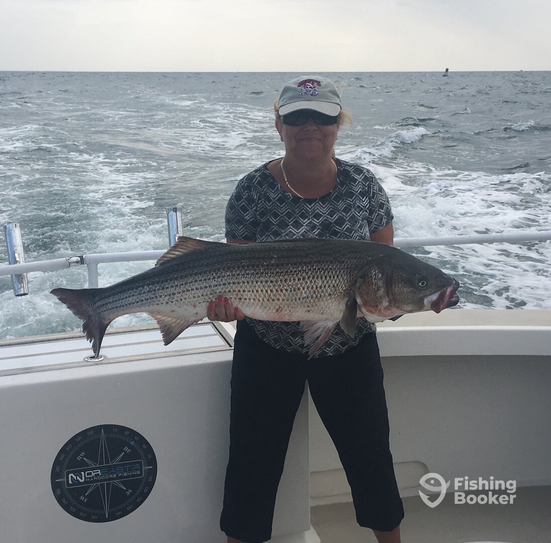 Montauk Report Photo 0