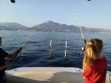 Marbella Report Photo 2