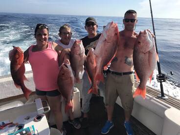 Great Snapper Season and overall great f
