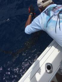 Herradura Report Photo 2