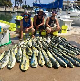 Dana Point Report Photo 1