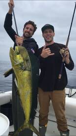 Dana Point Report Photo 2