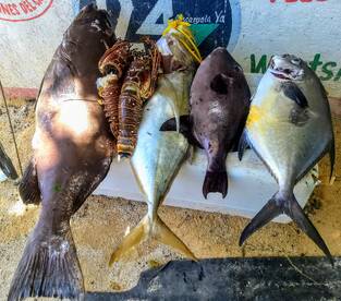 Playa Del Carmen Report Photo 2