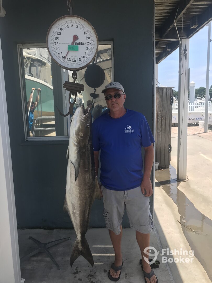 Virginia Beach Report Photo 0
