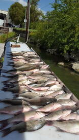 West Tawakoni Report Photo 2