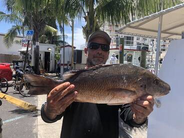 Fort Lauderdale Report Photo 2