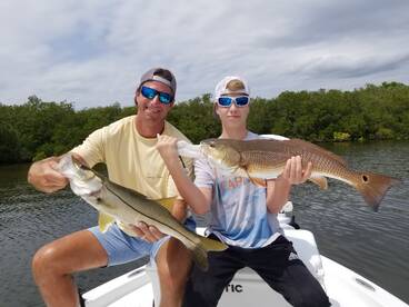 No Red Tide Yet For Pinellas