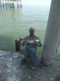 Monthly Report for August