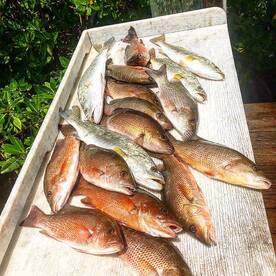 Islamorada Report Photo 1