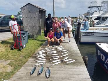 Nags Head Report Photo 2