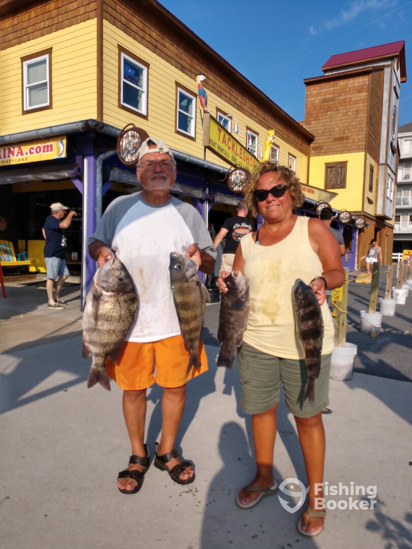 Ocean City Report Photo 0