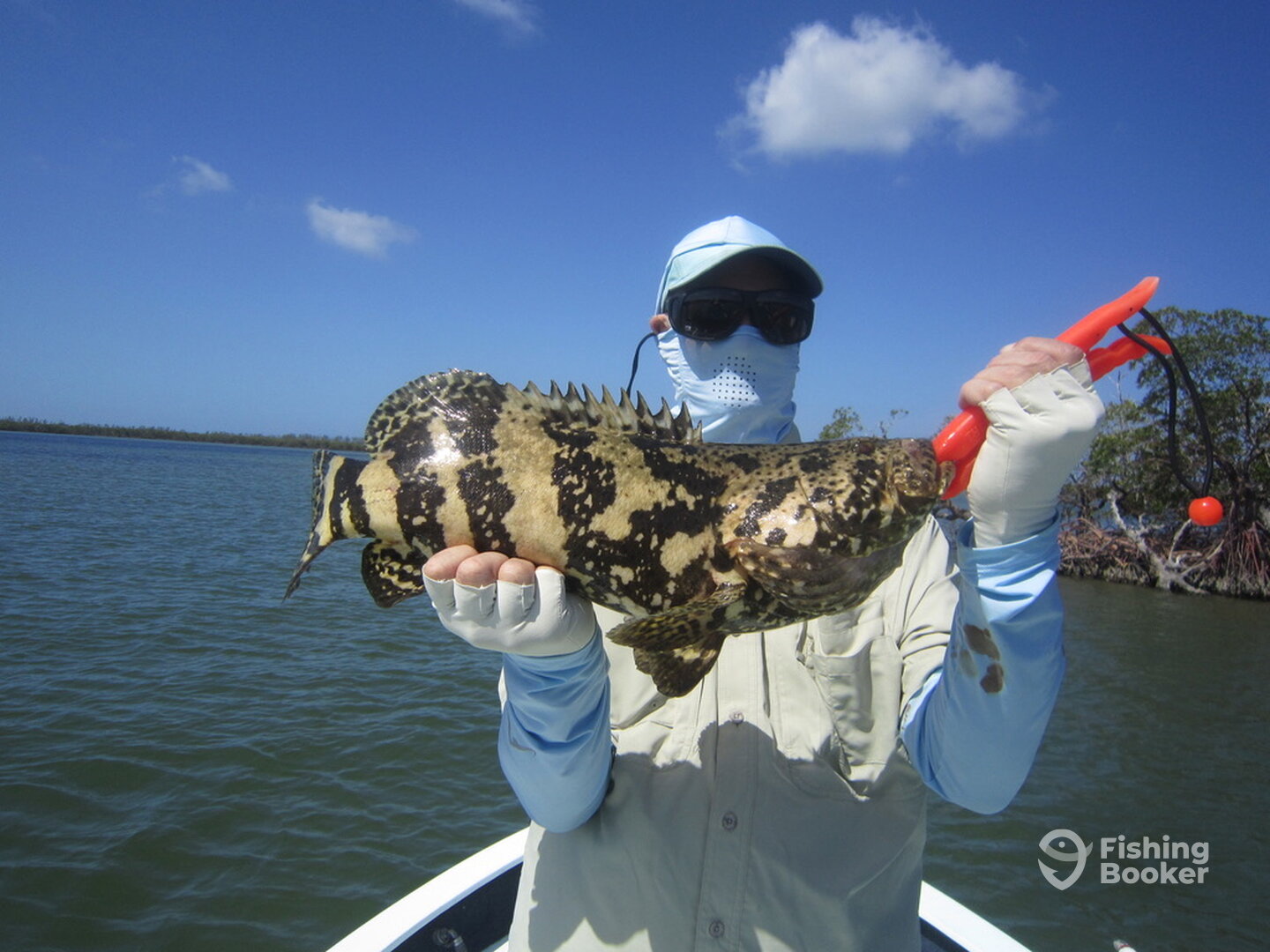 Naples Report Photo 0