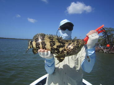 Great Early Summer Action!