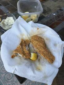 West Tawakoni Report Photo 2
