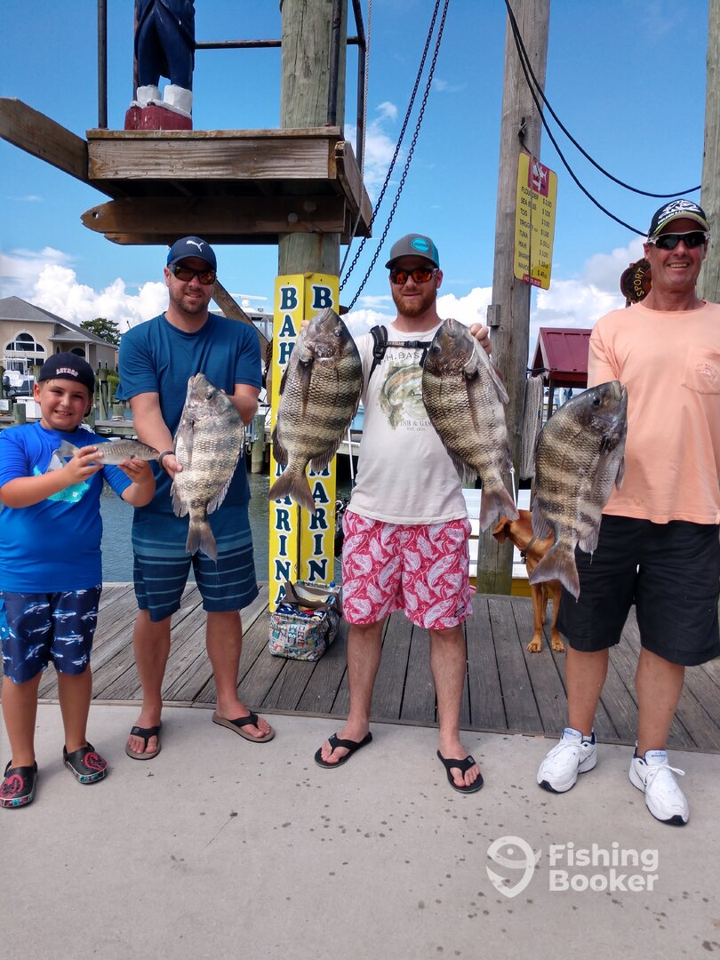 Ocean City Report Photo 0