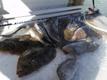 Bay Pines Report Photo 1