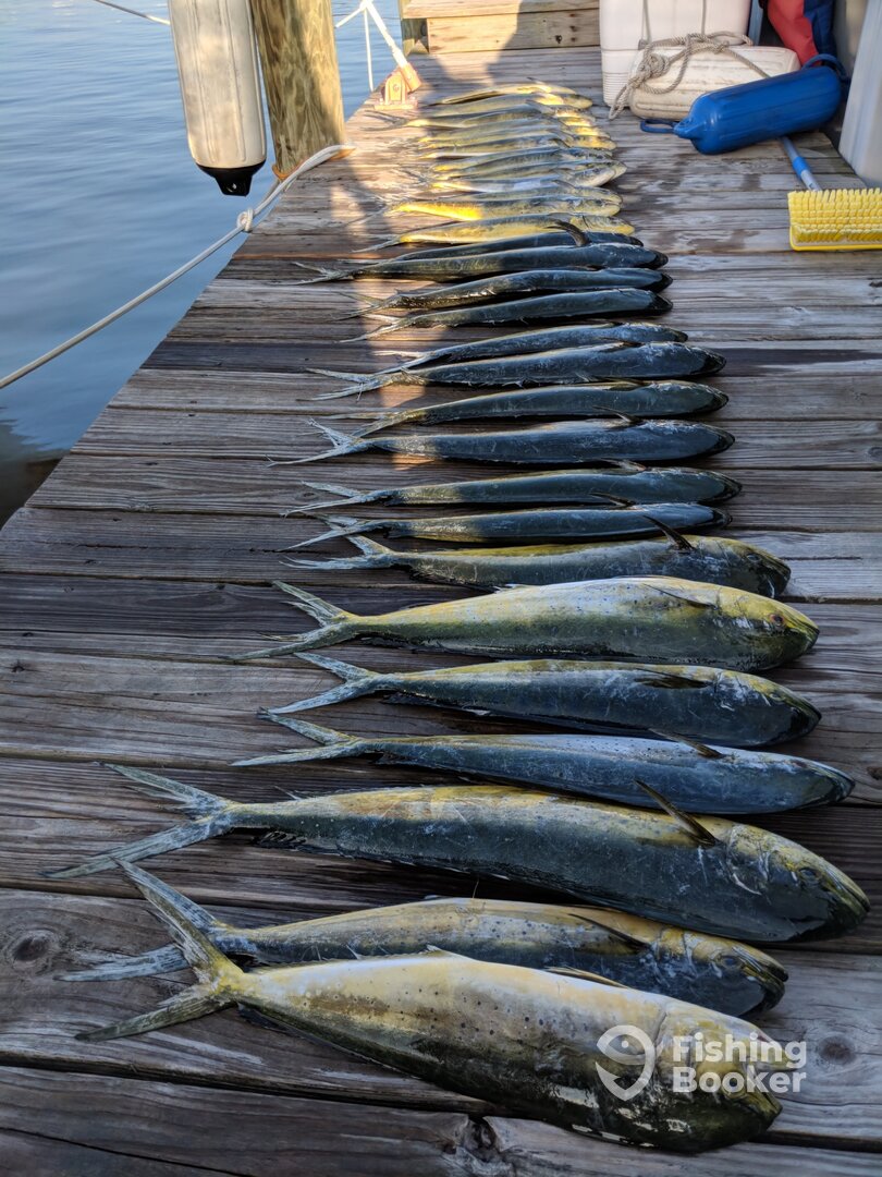 Point Pleasant Beach Report Photo 0