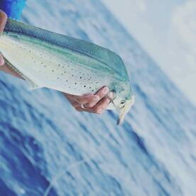 Point Pleasant Beach Report Photo 1