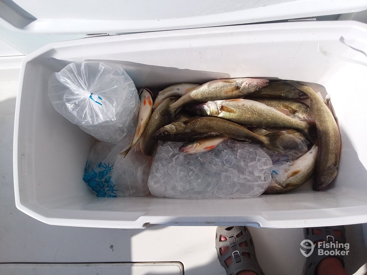 Lakeside Marblehead Report Photo 0